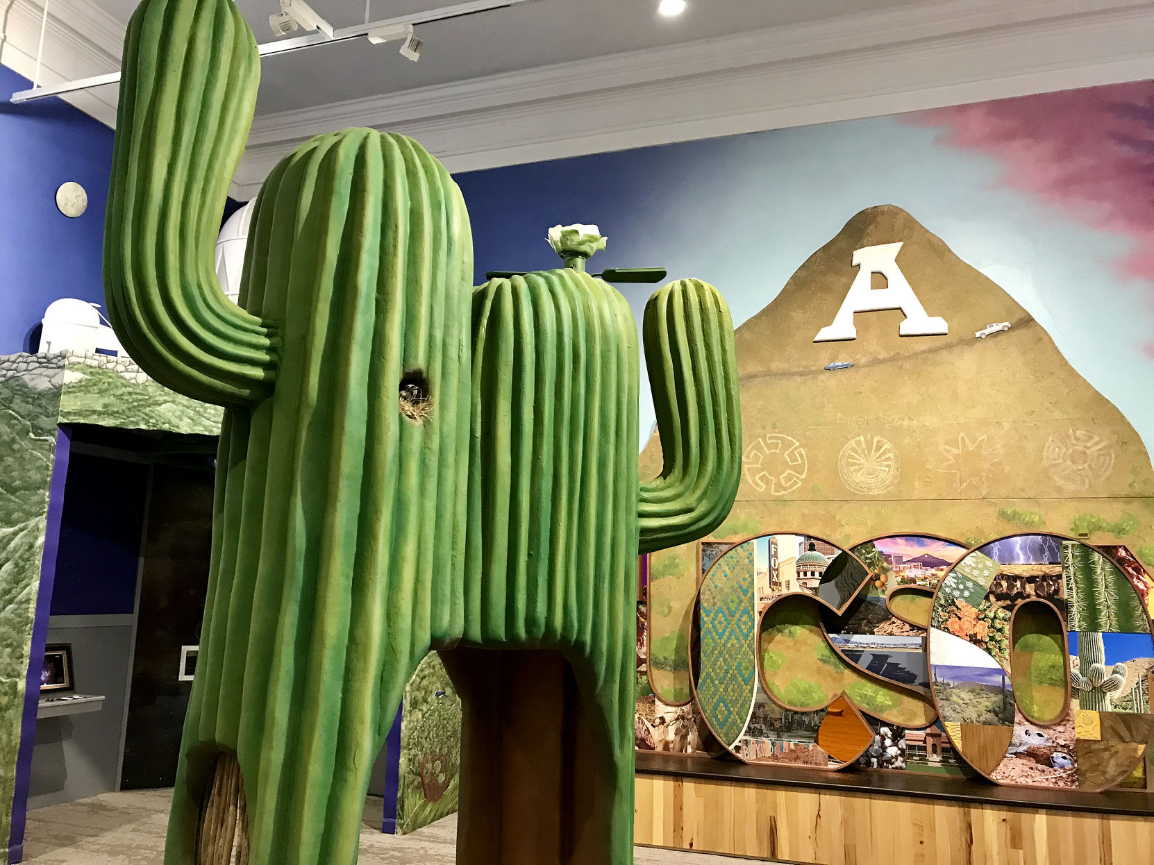 Sense of Place cactus